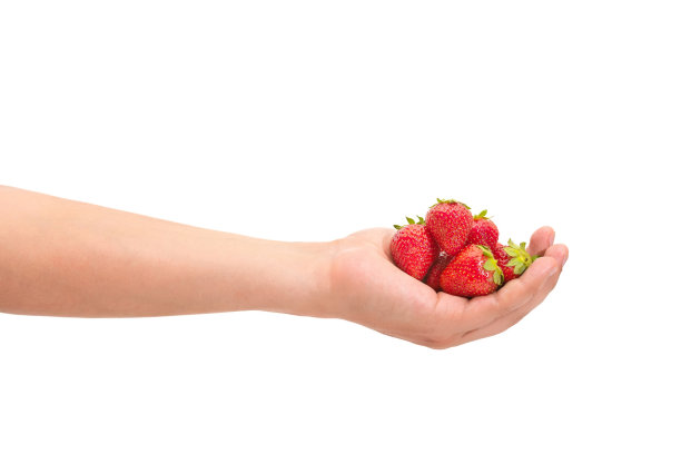 手与新鲜草莓孤立在白色背景图片下载