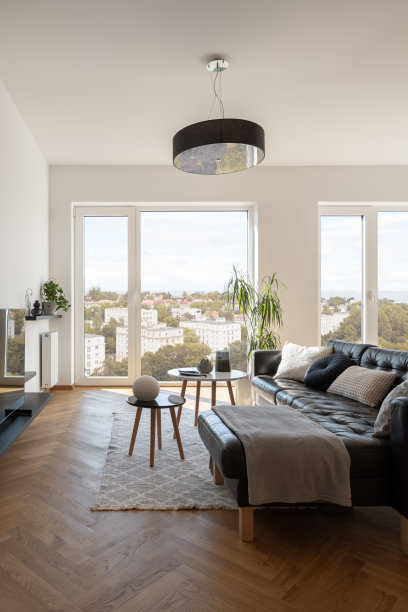 宽敞的客厅，大窗户图片下载