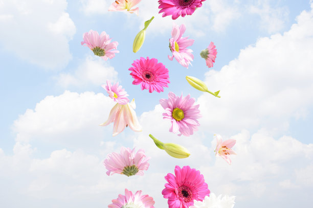 五颜六色的花朵在蓝天上与云彩一起飞翔。图片下载
