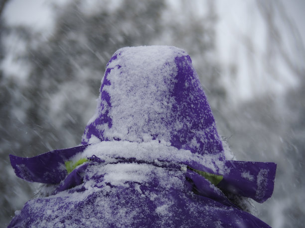 一件紫色大衣的背面特写雪图片下载