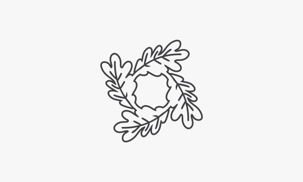 线图标四叶橡树孤立在白色图片下载