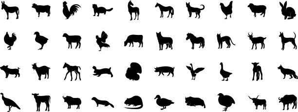 一组宠物的剪影图片下载