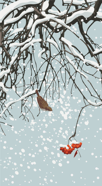冬天的景色，覆盖着雪的花楸和鸟图片下载