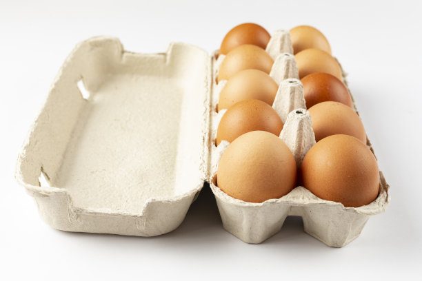 一盘白色底色的棕色新鲜鸡蛋。环保的产蛋。烘焙原料。有机鸡蛋-新鲜的生产者。前视图。图片下载
