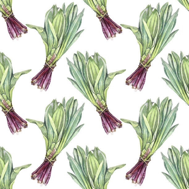 无缝图案水彩野生大蒜沙拉白色背景。手绘绿色和紫色辣维生素保健食品。种植拉姆逊为厨房烹饪书。咖啡馆的菜单，墙纸图片下载