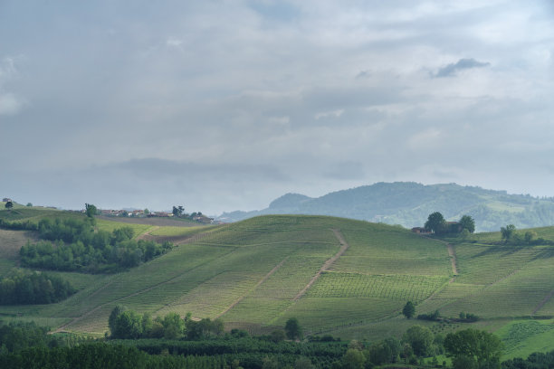 春天风景的藤蔓和小山在朗和，意大利图片下载