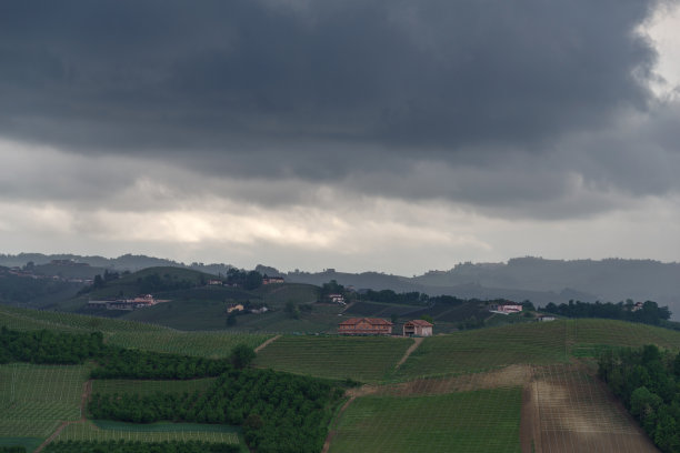 春天风景的藤蔓和小山在朗和，意大利图片下载