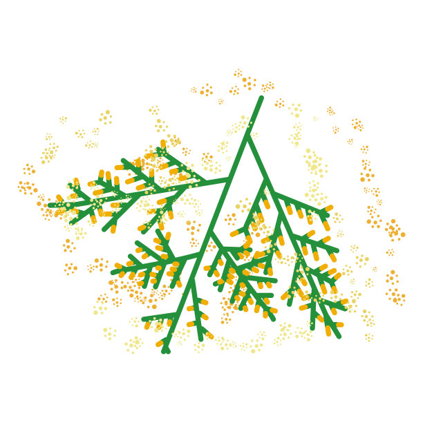 柏树:花粉传粉者致敏植物插图。图片下载