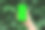 拿着手机的手正对着模糊的绿色。绿色屏幕的智能手机，复印空间。图片下载