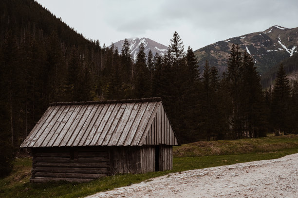 小木屋被松树环绕，背景是山图片下载