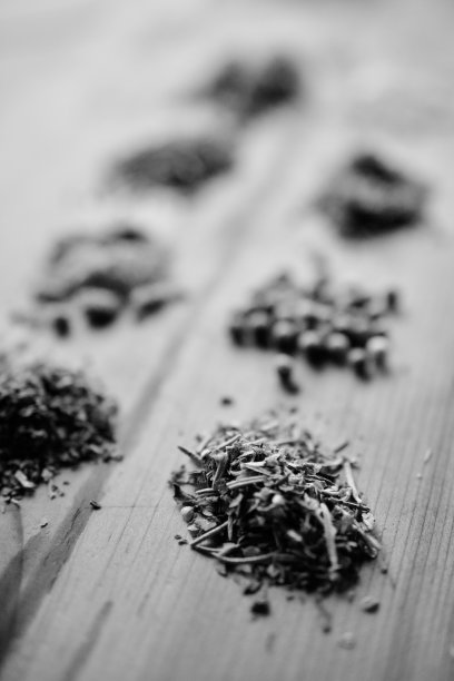 草本植物在单色图片下载