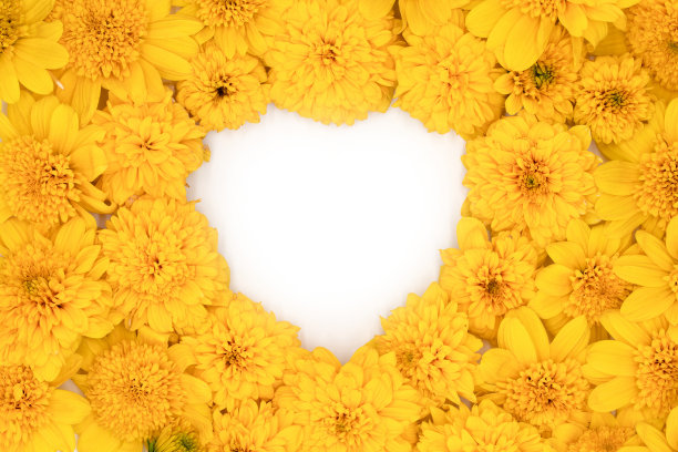 白底黄花心形框架，俯视，平铺图片下载
