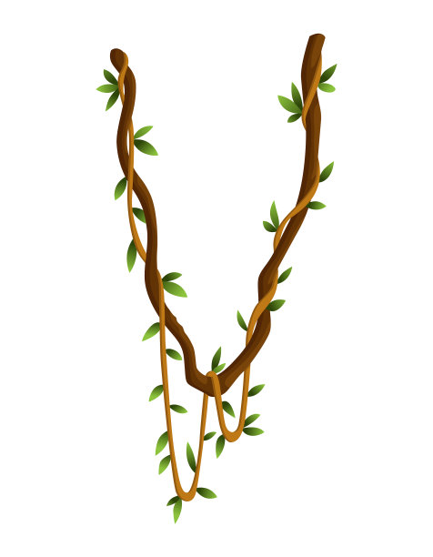 扭曲的野生藤本植物枝条旗帜丛林藤蔓图片下载