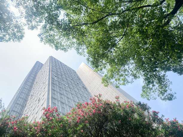 抬头看看城市里的建筑图片下载