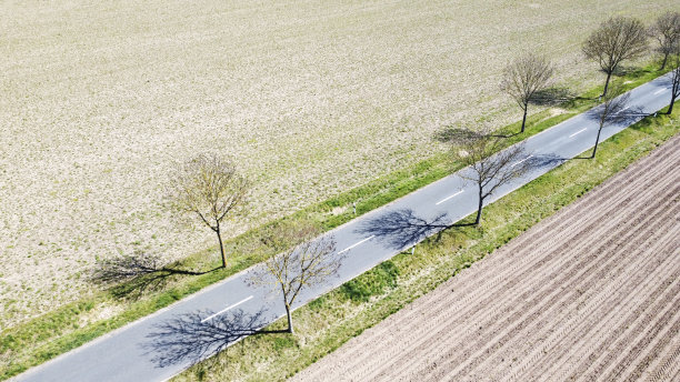 乡村道路和田野的鸟瞰图图片下载