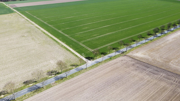 乡村道路和田野的鸟瞰图图片下载