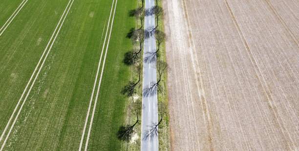 乡村道路和田野的鸟瞰图图片下载