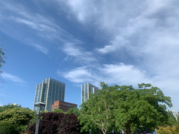 抬头看看城市里的建筑图片下载