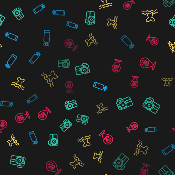 为潜鲸设置水下摄影相机图片下载