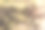 油画:抽象图案在绿色和黄色色调:草坪，树枝和树木图片下载