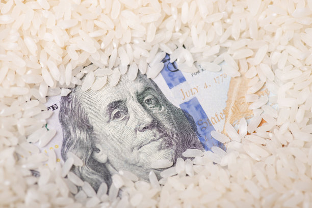 用米粒制成的美元纸币图片下载