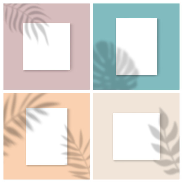 矢量模型设置与空白白纸上的颜色背景和棕榈叶阴影叠加效果。极简的投资组合空白背景网页投资组合，海报模拟，演示。图片下载