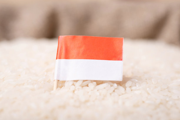 印度尼西亚国旗印在米粒上图片下载