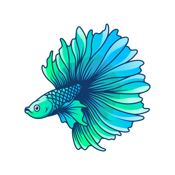 搏鱼鱼图片下载