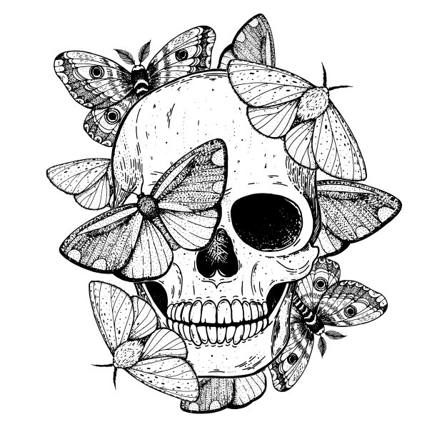 骷髅和蝴蝶手绘草图插图。纹身的打印。蝴蝶和头骨矢量插图。素描打印。图片下载