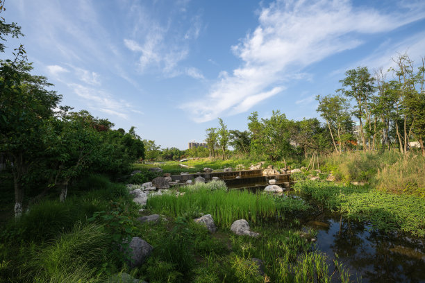 黄昏的草地和河流图片下载