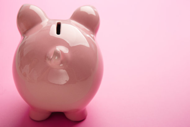 PinkPiggy银行后面图片下载