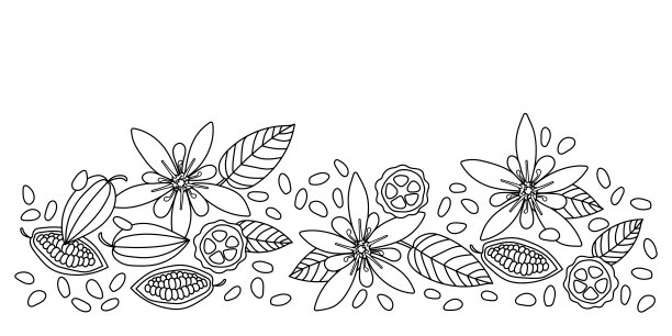 可可豆、谷物、豆荚。矢量边界图片下载