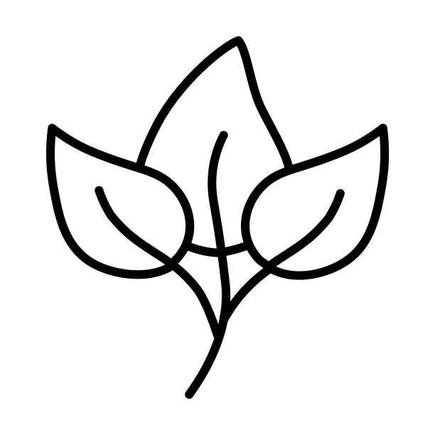 叶子图标。薄线性叶轮廓图标孤立在白色背景。直线矢量叶符号，网页和移动的符号。图片下载