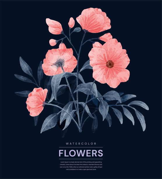 水彩画的一套花，用于各种卡片和贺卡。图片下载