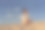 阳光明媚的夏日里，年轻的黑发女子图片下载