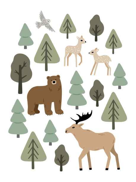 手绘海报与森林动物和植物图片下载