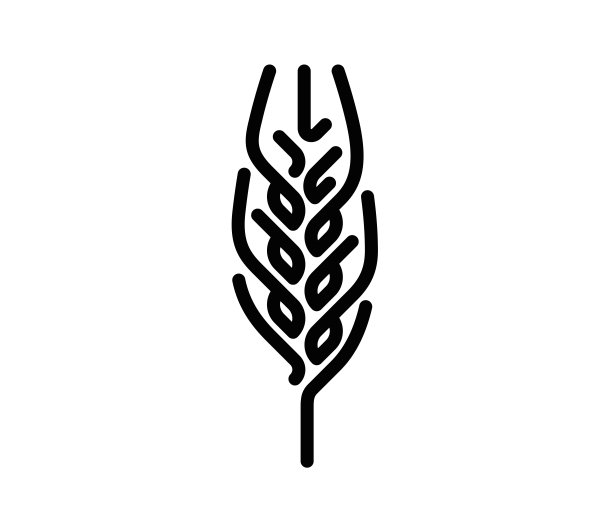 麦穗线图标矢量插图图片下载