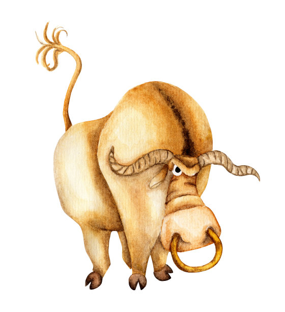 水彩画的棕色和米色公牛与长图片下载