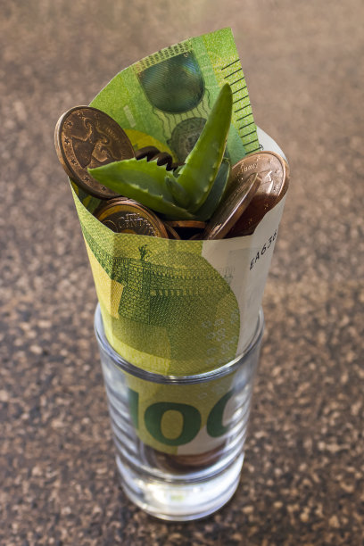 从硬币和100欧元钞票中生长的植物图片下载