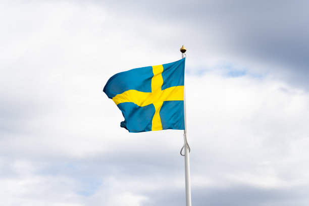 瑞典的国旗图片下载