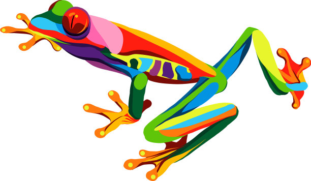 树蛙从五颜六色的油漆飞溅图片下载