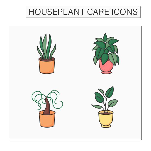 室内植物护理彩色图标设置图片下载