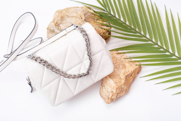 时尚女包，铁链，白底绿植。图片下载