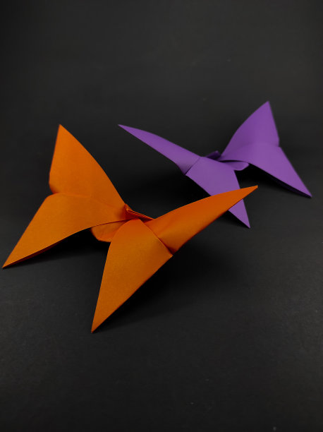 两只彩色的折纸蝴蝶图片下载