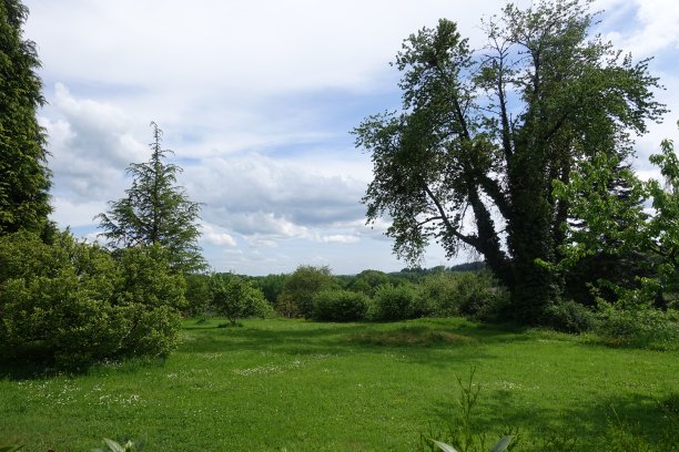 绿意盎然的花园春天图片下载