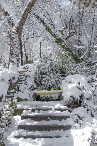 楼梯和长凳上覆盖着厚厚的积雪图片下载