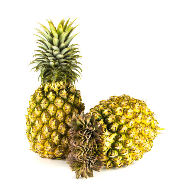 白底菠萝图片下载