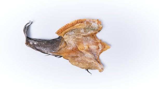 咸鱼孤立图片下载