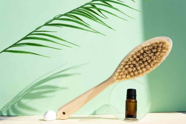仙人掌鬃毛刷用于反脂肪按摩和按摩油的绿色背景。身体护理的概念。水疗、生态美容、美容理念。图片下载