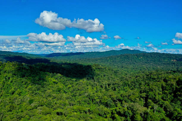 自然背景，鸟瞰热带雨林——从空中俯瞰的热带雨林和美丽的云景图片下载